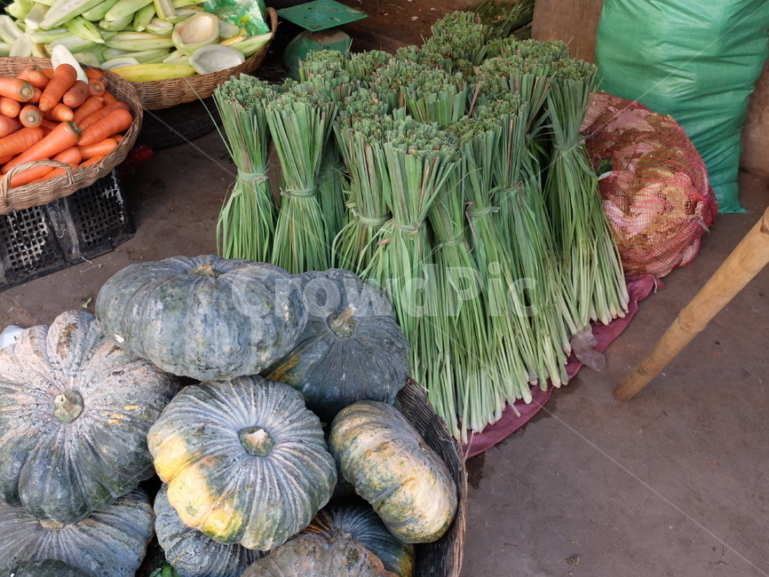 야채,채소,호박,레몬그라스,야채가게,시장,마트,마켓,market,mart,market place,음식,식재료,요리,food,cook,meal,dishes,food reserves,채소,야채,vegetables