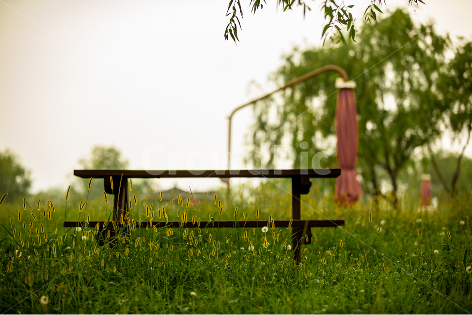 공원,생태공원,휴식,의자,테마,야외,자연,풍경,nature,landscape