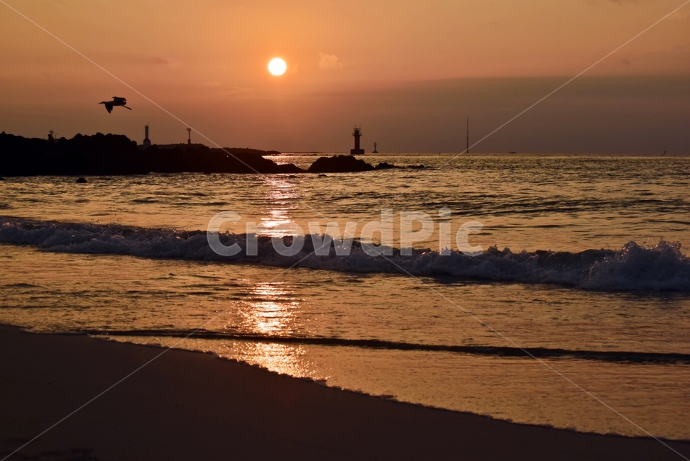 석양,노을,해,sunset,nature,자연,outdoors,옥외,sunlight,햇빛,해변,바다,beach,sea