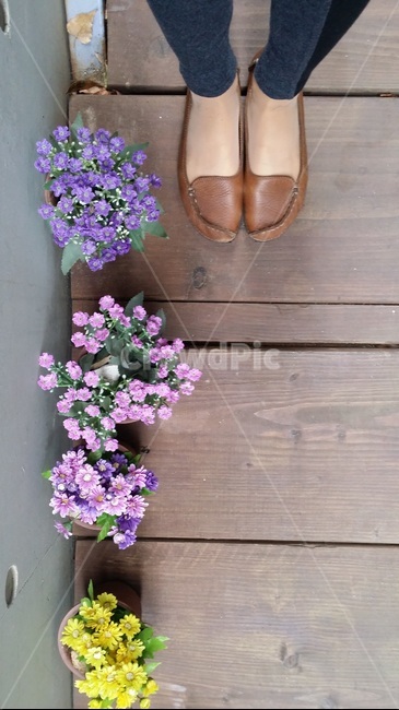 봄꽃,아기자기,직선,가로세로구도,작은꽃,인테리어꽃,꽃,flower,사람,인물,인간,human,person,신체일부,몸,body