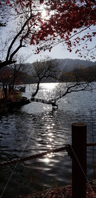 가을,나무,풍경,산,자연,강,단풍,가을,계절,fall,autumn,season,water,물,outdoors,옥외