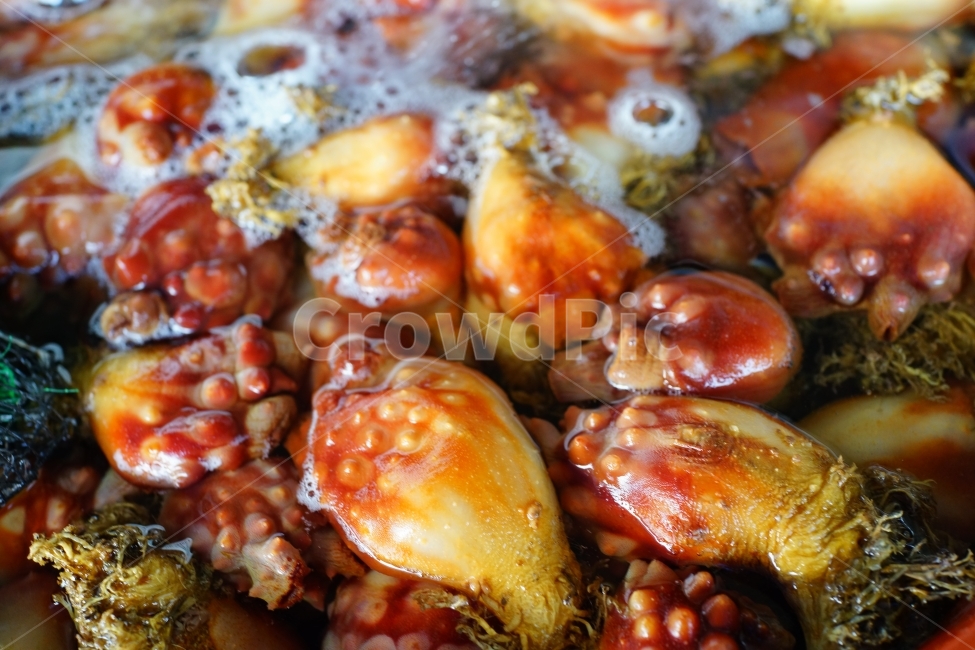 멍게,바다,해산물,한국,수족관,음식,식재료,요리,food,cook,meal,dishes,food reserves,수산물,해산물,fishery products,seafood