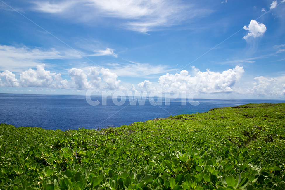 Saipan resort,Cliff,suicide cliff,Saipan,Saipan Attractions,vacation spot,Hurray Cliff