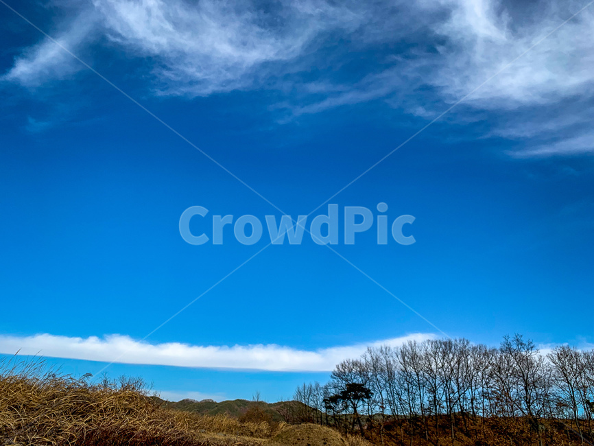 푸른하늘,구름,풍경,바탕화면,감성사진,윈도우배경,자연,풍경,nature,landscape,outdoors,옥외