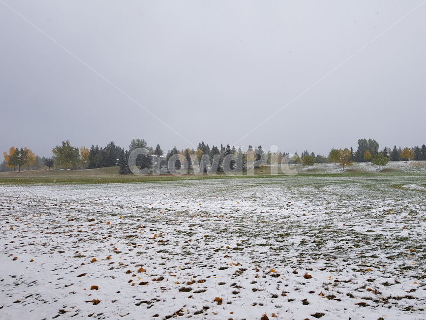 첫눈,눈,풍경,경치,캘거리,snow,겨울,계절,winter,season