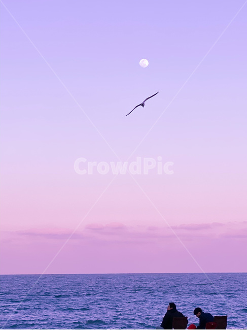 하늘,노을,바다,감성사진,일몰,sky,sea,sunset,moon,달
