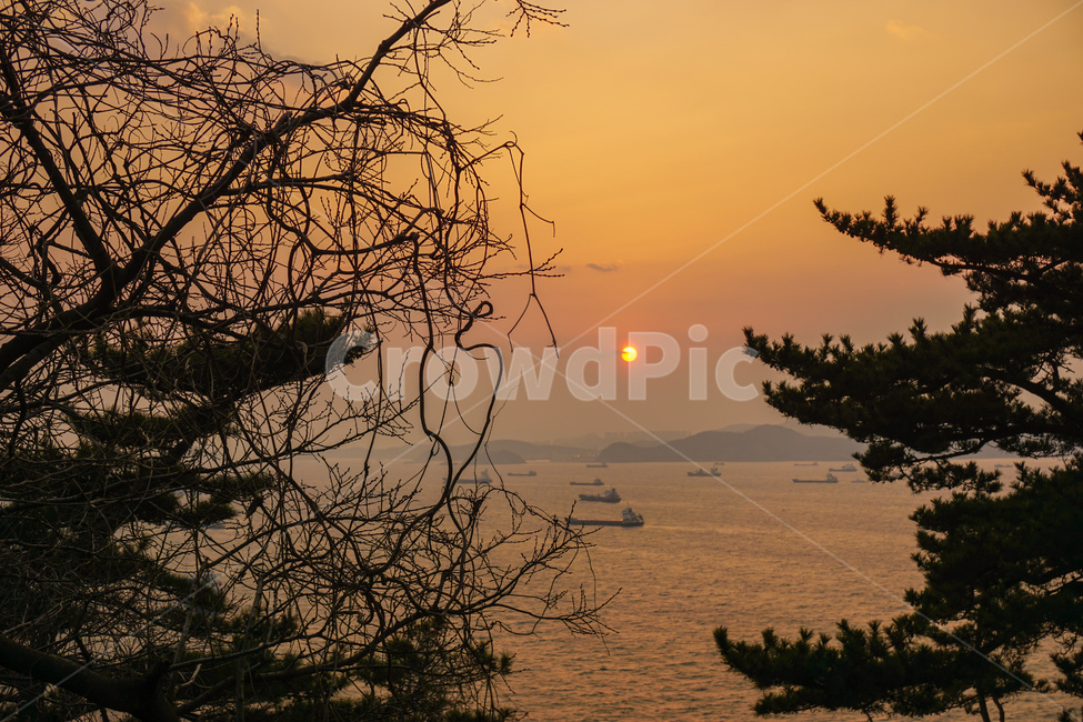 일몰,해,붉은하늘,풍경,해질녁,자연,자연,풍경,nature,landscape,outdoors,옥외,dusk,황혼,sunset,sky,하늘,dawn,새벽,red sky,붉은 하늘