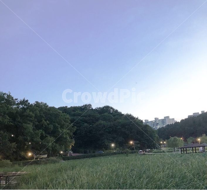 하늘,자연,일상,그라데이션,숲,나무,힐링,자연,풍경,nature,landscape,plant,식물,grass,잔디