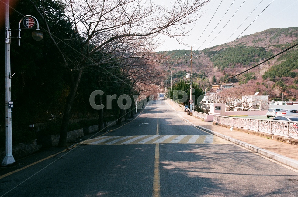 초량,산복도로,봄,도로,부산,시골,마을,풍경,landscape,country,rural,town