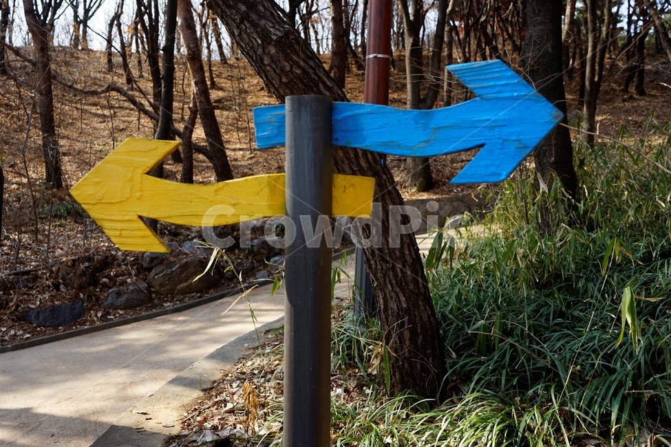 이정표,안내,산책로,화살표,공원