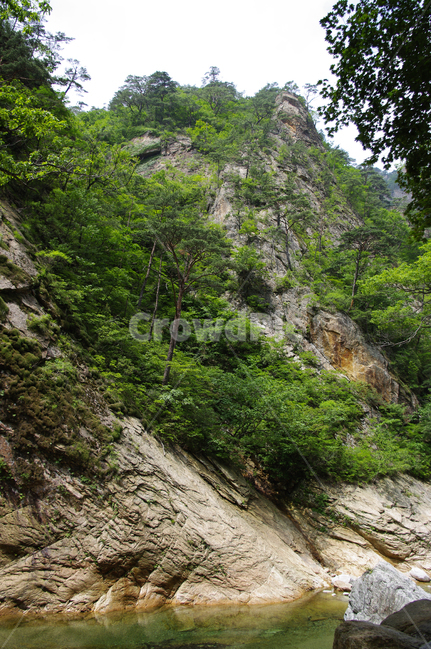 산,계곡,바위,암석,풍경,나무,설악산,자연,풍경,nature,landscape,outdoors,옥외,cliff,낭떠러지