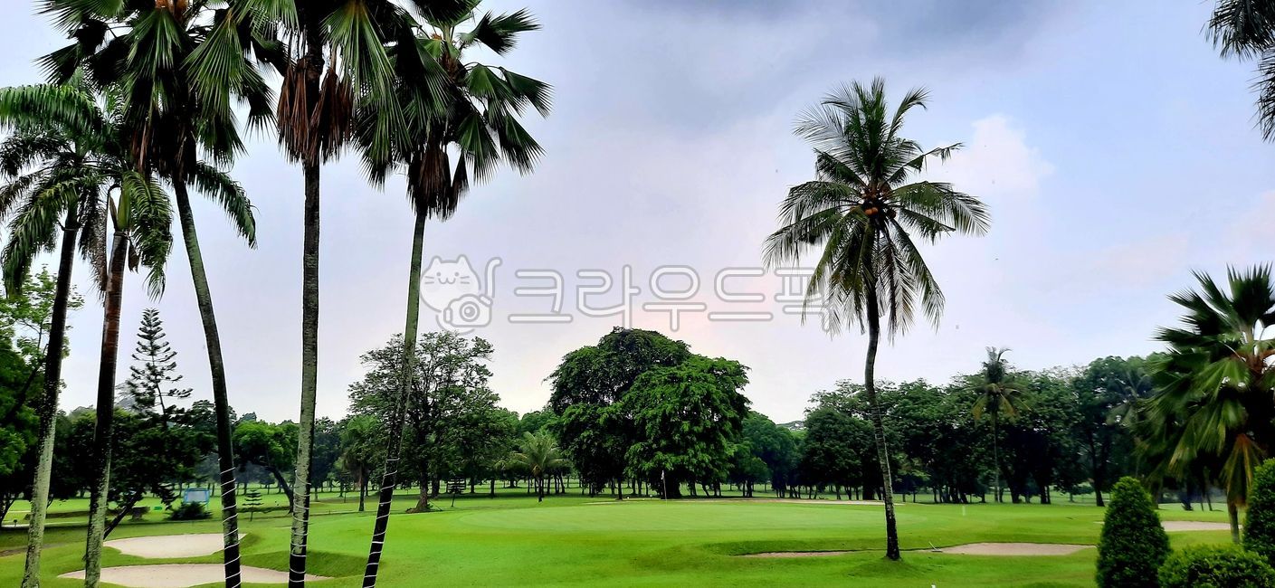 field,golf course,Indonesia Golf,golfcourse,Southeast Asia Golf