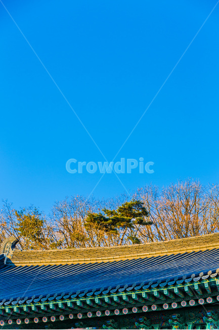 기와,선,전통,사찰,패턴,한국전통,한국문화,korean traditional,korean culture,건축물,건물외관,exterior,building,structure,architecture,construction