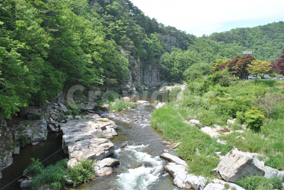 계곡,돌,나무,풀,여름,초록색,흰색,풍경,자연,풍경,nature,landscape,여름,계절,summer,season,outdoors,옥외,water,물,stream,흐름,creek,작은 만