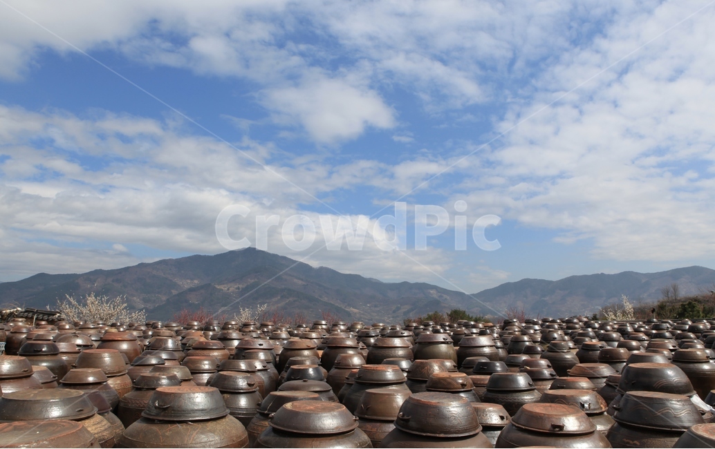 봄,장독대,전통,한국,봄날,하늘,자연,풍경,nature,landscape,한국자연풍경,한국자연경관,korea nature landscape,한국전통,한국문화,korean traditional,korean culture