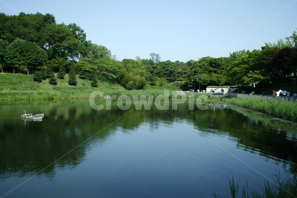호수,여름,식물,물결,공원,초록,숲,파랑,컬러,자연,풍경,nature,landscape,water,물,outdoors,옥외