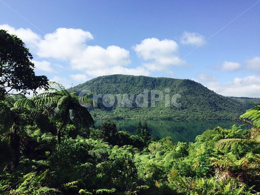 nature,자연,outdoors,옥외,plant,식물,tree,나무,forest,숲,산,mountain,mount,경치,풍경,landscape,자연,풍경,nature,landscape