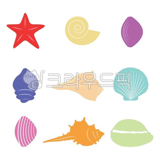 조개,불가사리,가리비,소라,껍데기,해산물