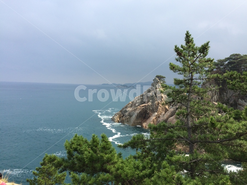 소나무,하조대,강원도,바다풍경,바다,풍경,자연,풍경,nature,landscape,land,땅,outdoors,옥외,promontory,곶,shoreline,해안선,water,물,sea,ocean,대양,tree,나무,plant,식물