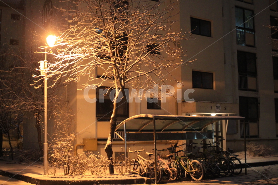 눈오는날,눈쌓인모습,여성아파트,눈쌓인아파트,눈온뒤풍경,겨울,계절,winter,season,야경,밤,풍경,nightscape,night,landscape,건축물,건물외관,exterior,building,structure,architecture,construction,nature,자연,outdoors,옥외