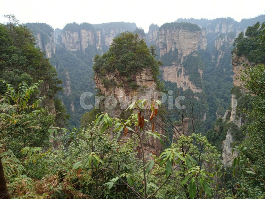 아바타,장가계,자연,경치,장가계이미지,자연,풍경,nature,landscape