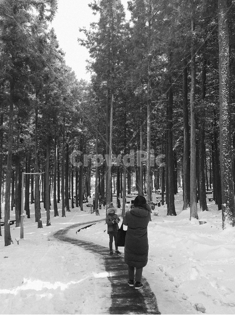 숲,나무,사람,흑백,제주도,forest,흑백,모노톤,monochrome,black and white