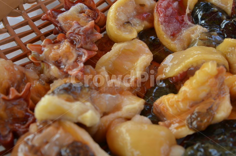 멍게,음식,해산물,바다,주황색,바다음식,음식,식재료,요리,food,cook,meal,dishes,food reserves,수산물,해산물,fishery products,seafood