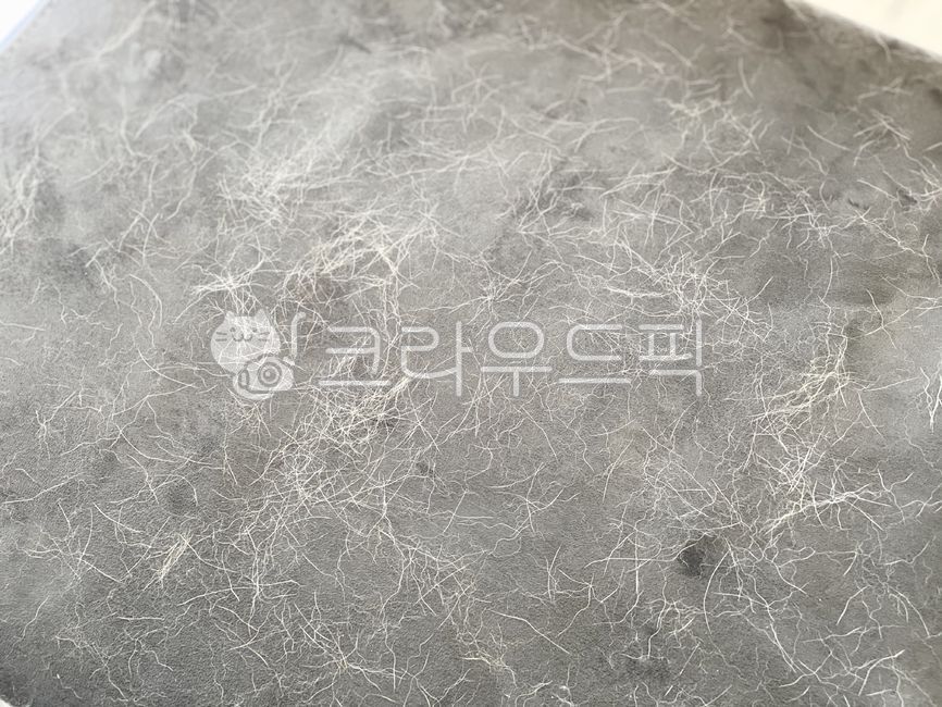 dog hair,dog shedding,dog fur,Dog hair falling out,dog hair loss