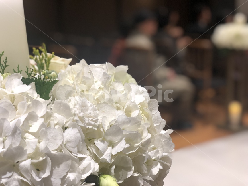 결혼,결혼식,부케,웨딩,생화,조화,화이트,꽃,신부