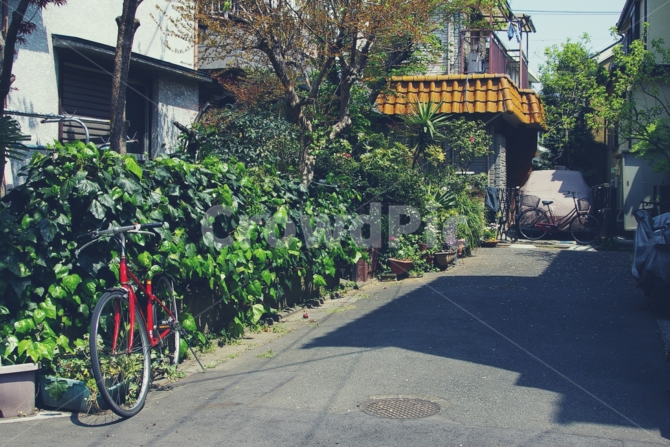골목,길,alley,동네,마을,town,타운,road,꽃,자전거,일본,도쿄,tokyo,japan,도시,풍경,city,landscape,골목길,alley,해외,외국,세계,foreign,oversea,world,세계도시풍경,해외도시풍경,외국도시풍경,world cityscape,outdoors,옥외,garden,정원