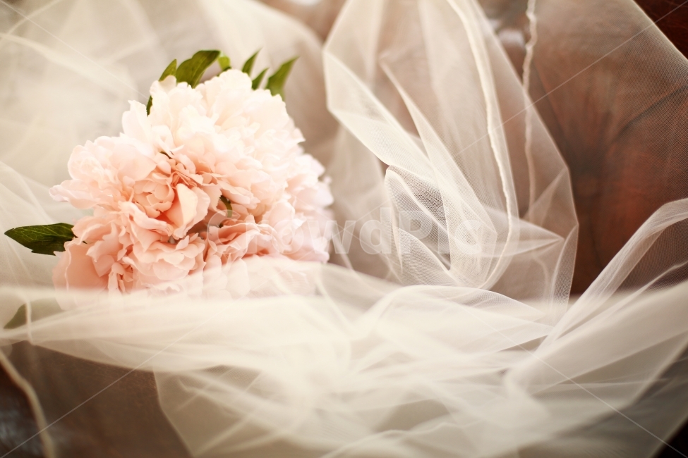 꽃,웨딩,조화,면사포,이미지사진,식물,자연,plants,nature,꽃,flower,기념일,축하,anniversary,congratulation,celebrate,celebration,감성,sensible,feeling
