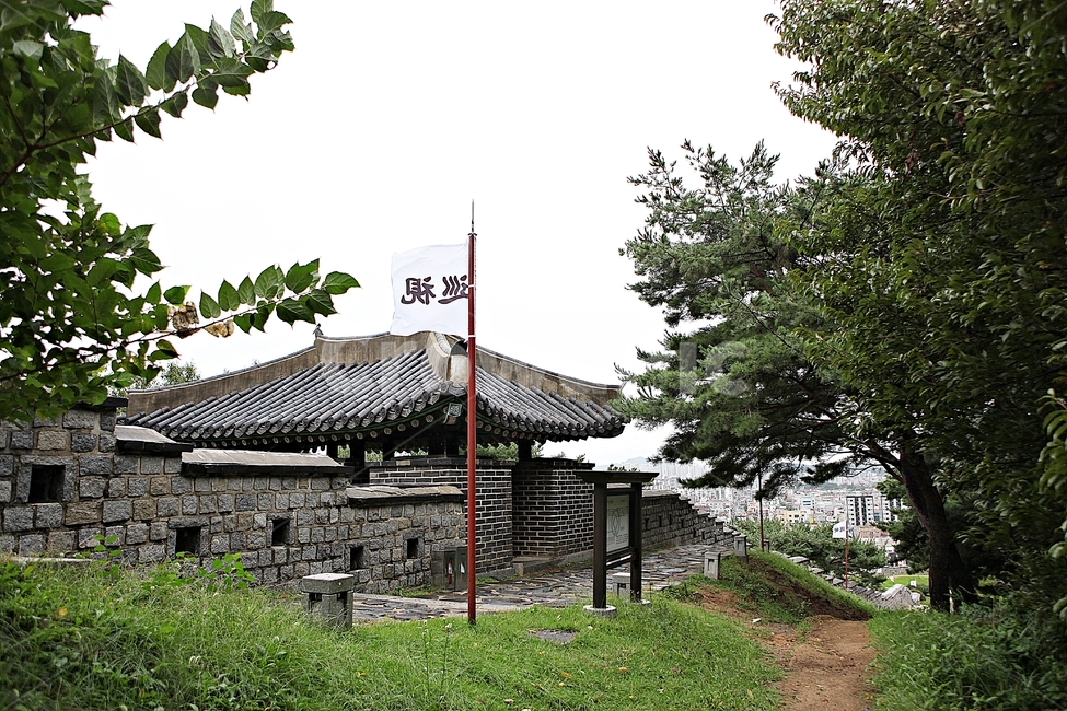 수원화성,성,성곽,길,둘레길,담,돌담,가을,자연,풍경,벽,방어벽,전통,흙담,식물,한국전통,한국문화,korean traditional,korean culture