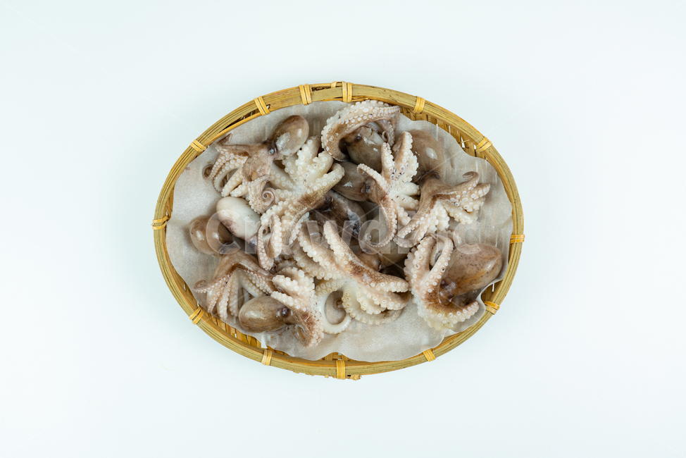 해산물,해물,낙지,주꾸미,요리재료,음식재료,어류,동물,해양생물,문어,싱싱한,신선한,요리,음식,식품,누끼