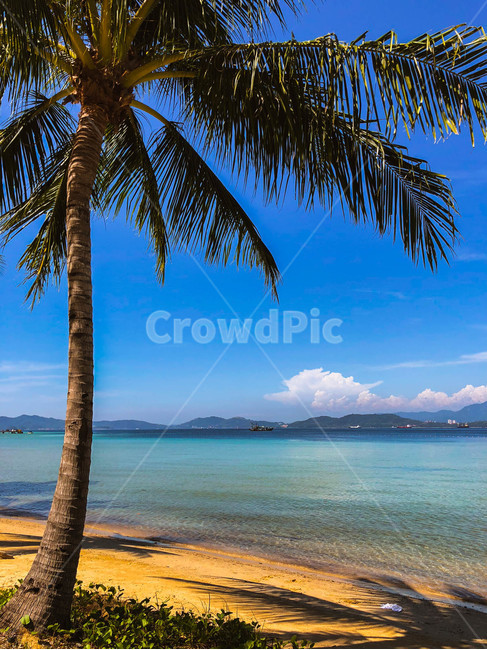해변,시원함,하늘,바다,모래사장,beach,cool,chilling,sky,sandybeach,말레이시아,코타키나발루,가야섬,malaysia,kotakinabalu,kayaisland,휴양지,vacation,자연,풍경,nature,landscape,해변,바다,beach,sea,여행,휴가,traveling,vacation,trip,summer,여름