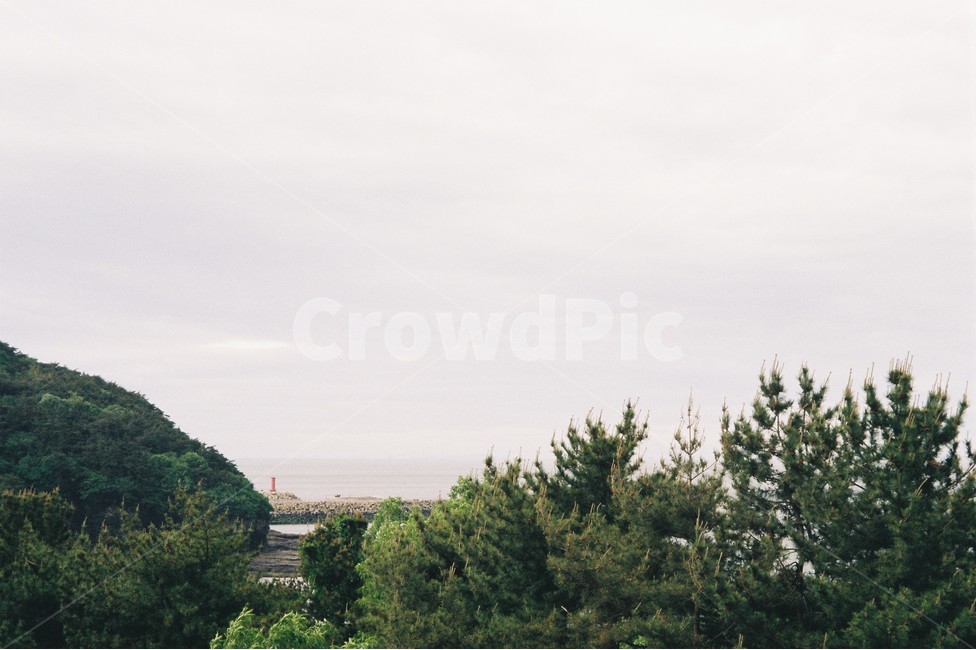 바다,나무,산,자연,흐린하늘,beach,sea
