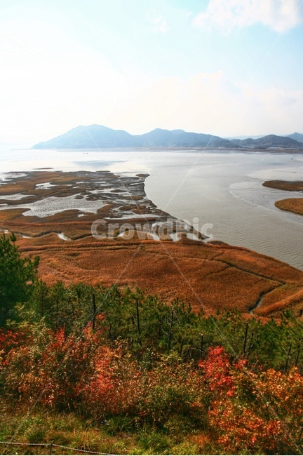 순천,순천만,갈대,바다,바닷가풍경,습지,산,하늘,바닷길,가을,가을바다,가을,계절,fall,autumn,season,자연,풍경,nature,landscape,한국자연풍경,한국자연경관,korea nature landscape,land,땅,outdoors,옥외,shoreline,해안선,water,물,sea,ocean,대양