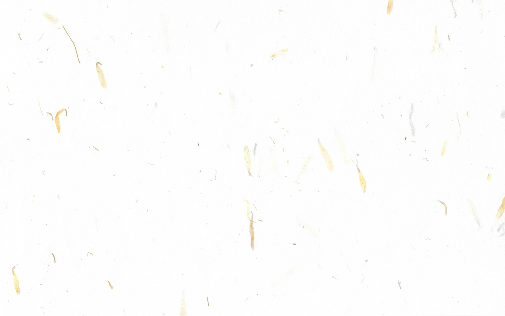 paper,한지,배경,종이,한국,전통,질감,바탕,명절,새해,닥나무,색한지,우리나라,대한민국,낙엽,나뭇잎,한국전통,한국문화,korean traditional,korean culture,그래픽,일러스트레이션,graphic,illustration,텍스처,질감,패턴,texture,pattern