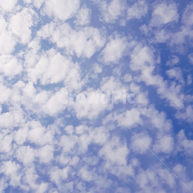 하늘,구름,작은구름,고적운,cloud