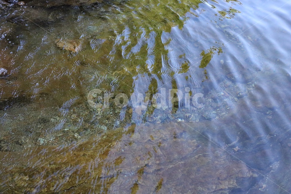 여름,휴가,계곡,물,돌,바위,summer,natsu,vacation,kyuuka,valley,keikoku,water,mizu,stone,ishi,rock,iwa,자연,풍경,nature,landscape,outdoors,옥외