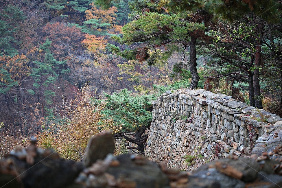 전등사,성,성곽,산성,둘레길,길,숲,숲길,담,돌담,가을,자연,풍경,벽,방어벽,낙엽,단풍,가을,계절,fall,autumn,season,자연,풍경,nature,landscape