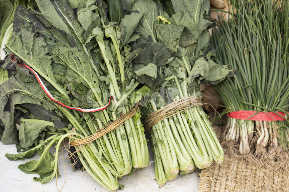 갓,쪽파,파,갓김치,김장재료,김장,김치,야채,채소,음식,식재료,요리,food,cook,meal,dishes,food reserves,채소,야채,vegetables