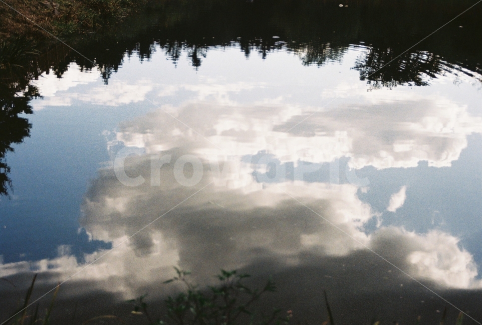 연못,하늘,반사,구름,필름카메라,자연,풍경,nature,landscape,감성,sensible,feeling,land,땅,outdoors,옥외,water,물