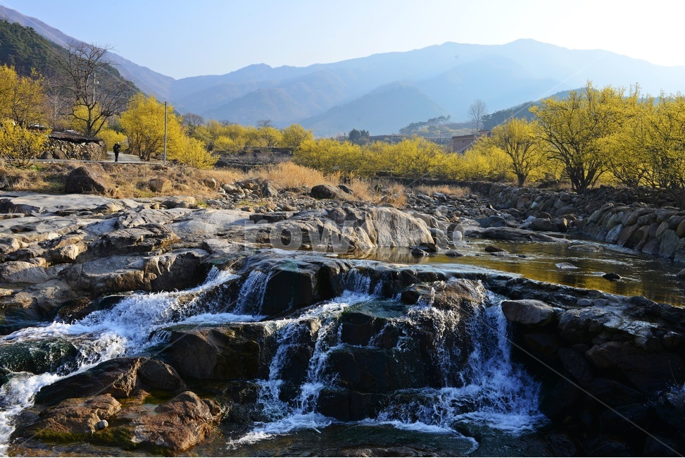 전남,구례,산동,산수유마을,산동산수유마을,산수유,산수유꽃,반영,mountainrange,산맥,mountain,산,nature,자연,water,물,outdoors,옥외,waterfall,폭포,자연,풍경,nature,landscape