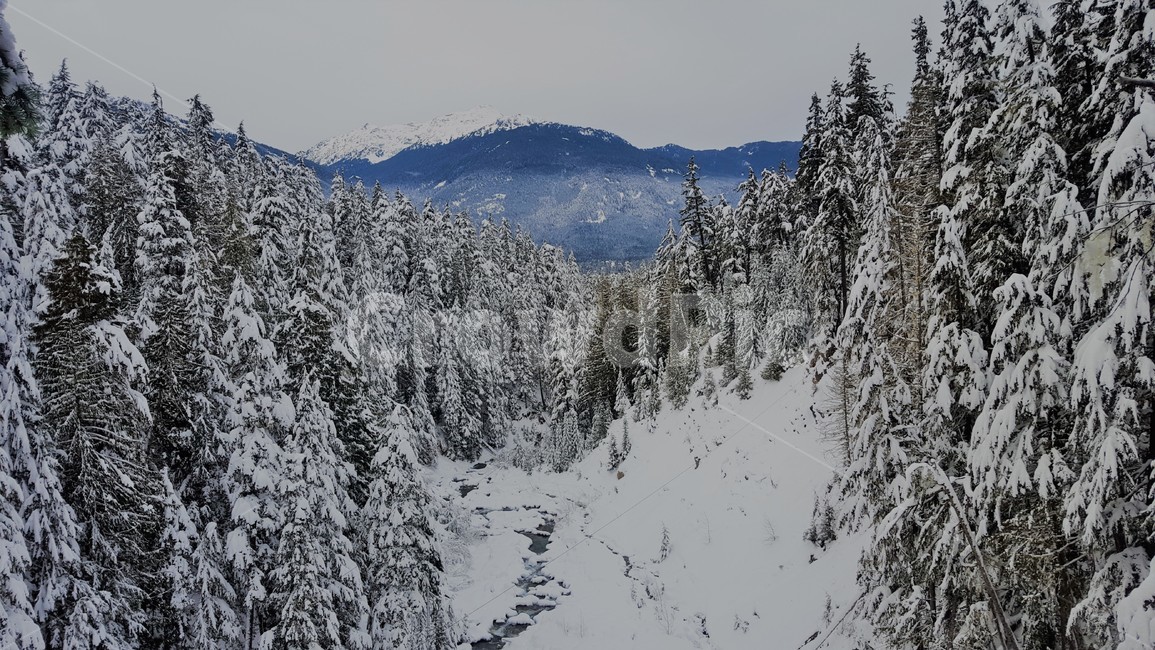설산,눈,겨울,자연,풍경,외국풍경,외국자연,캐나다,canada,whistler,휘슬러,경관