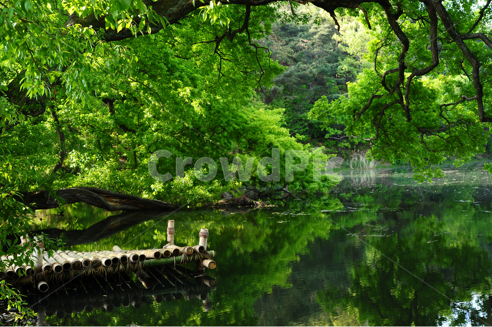 봄,경상북도,경산,반곡지,반영,초록,녹음,봄,계절,spring,season,여름,summer,자연,풍경,nature,landscape,한국자연풍경,한국자연경관,korea nature landscape,water,물,outdoors,옥외,land,땅