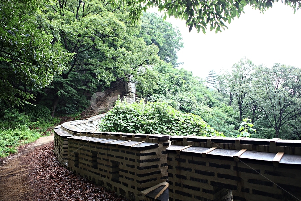 남한산성,성,성곽,길,둘레길,벽,숲,숲길,담,돌담,여름,풍경