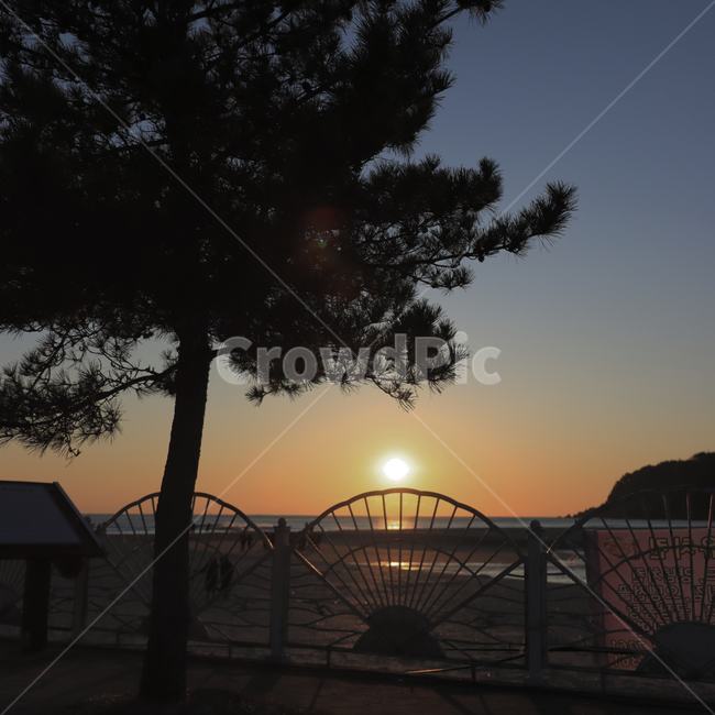 빛,햇빛,자연,일출,해돋이,희망,태양,해,아침,새벽,바다,여명,노을,석양,진주
