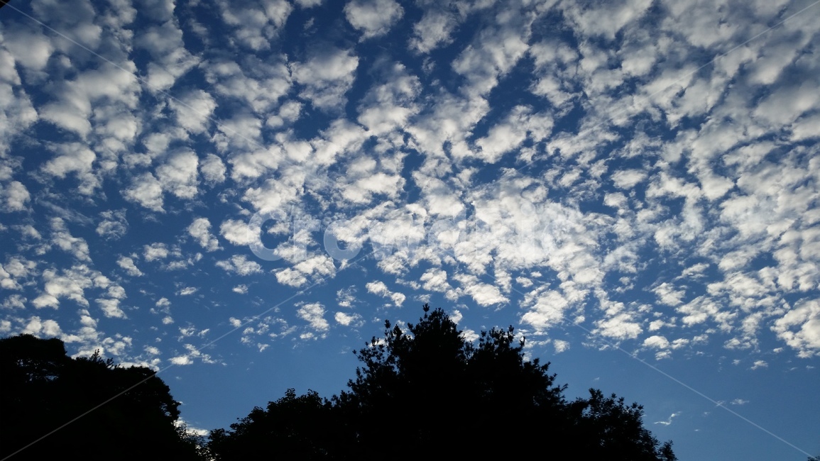 하늘,구름,구름가득한,여름오후하늘,양떼구름,맑은