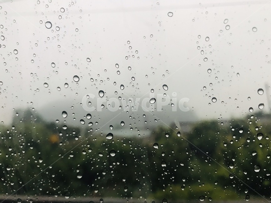 비,빗방울,흐림,날씨,안개,나무,산,감성사진