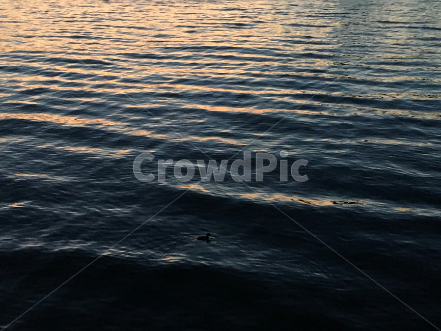 일본,후쿠오카,모모치해변,저녁바다,겨울바다,자연,풍경,nature,landscape,water,물,outdoors,옥외,ocean,대양,sea,바다